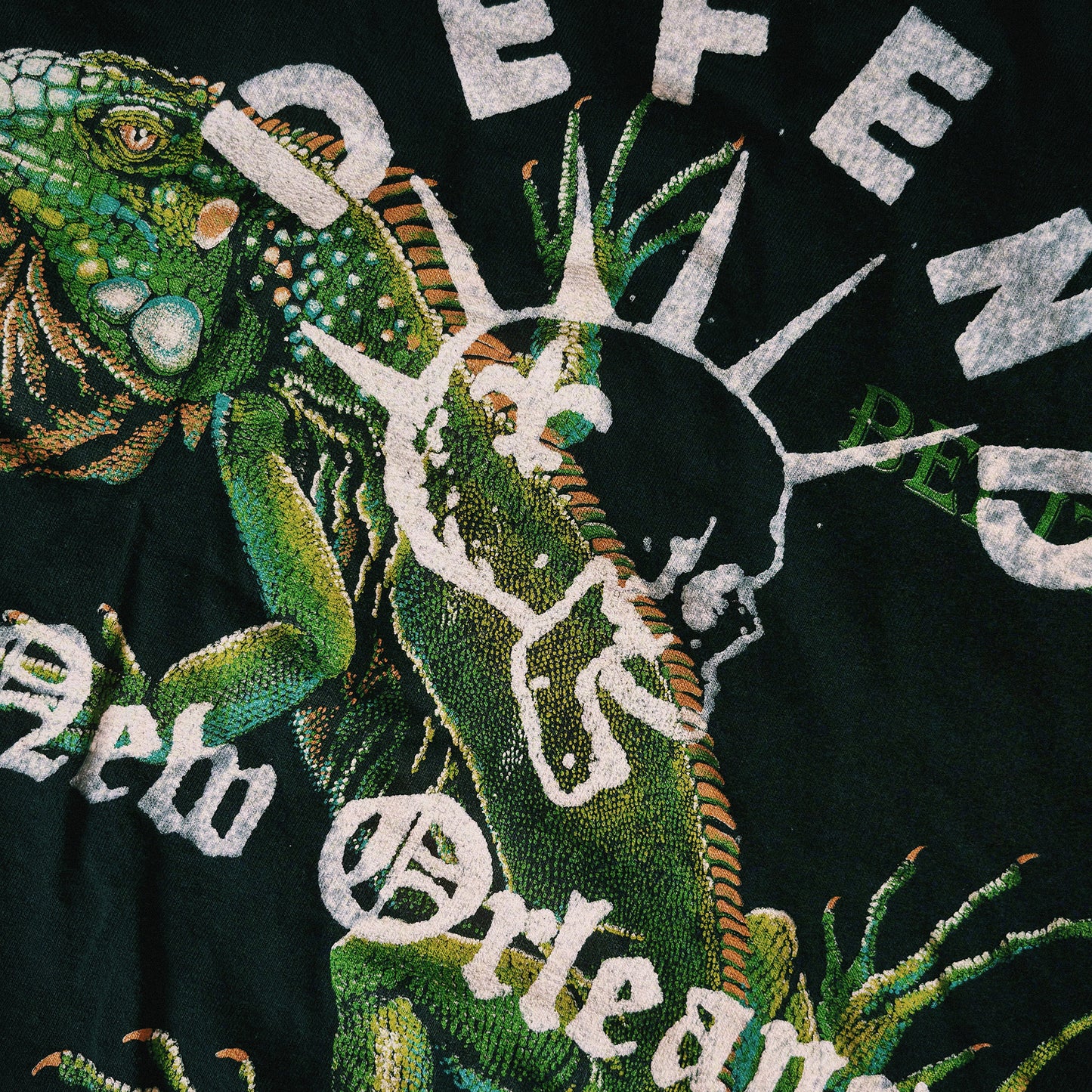 Defend Vintage Belize Iguana