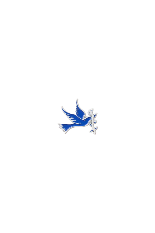 Peace Pilgrim Pin - Pins - DNO
